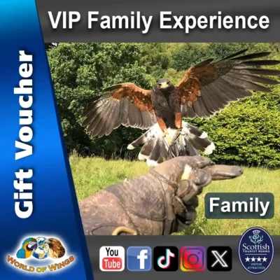 World of Wings Gift Voucher Sq Thumb - VIP Family Experience