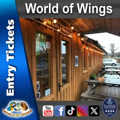 World of Wings Gift Voucher Sq Thumb - Entry Tickets